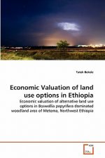 Economic Valuation of land use options in Ethiopia