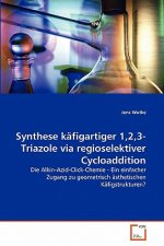 Synthese kafigartiger 1,2,3-Triazole via regioselektiver Cycloaddition