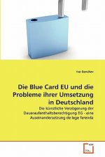 Blue Card EU und die Probleme ihrer Umsetzung in Deutschland