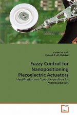 Fuzzy Control for Nanopositioning Piezoelectric Actuators