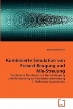Kombinierte Simulation von Fresnel-Beugung und Mie-Streuung