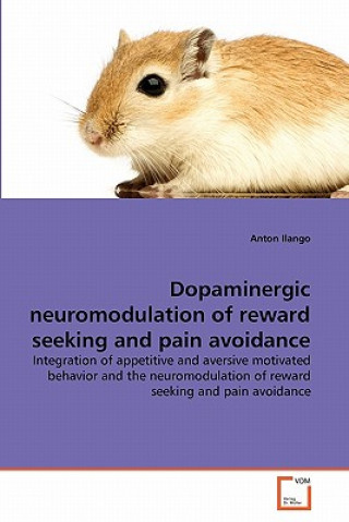 Dopaminergic neuromodulation of reward seeking and pain avoidance