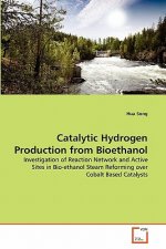 Catalytic Hydrogen Production from Bioethanol