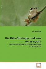 Dilts-Strategie und was wirkt noch?