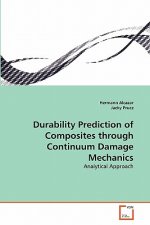 Durability Prediction of Composites through Continuum Damage Mechanics