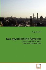ayyubidische AEgypten
