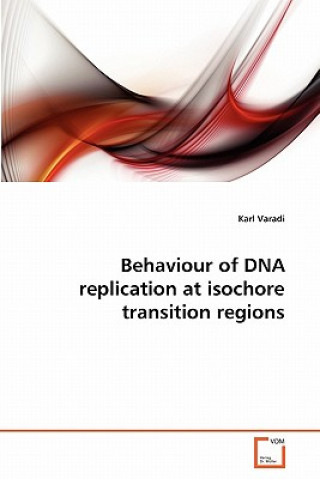 Behaviour of DNA replication at isochore transition regions
