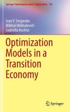 Optimization Models in a Transition Economy