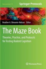 Maze Book