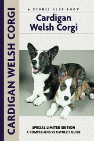 Cardigan Welsh Corgi