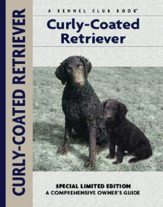 Curly-coated Retriever