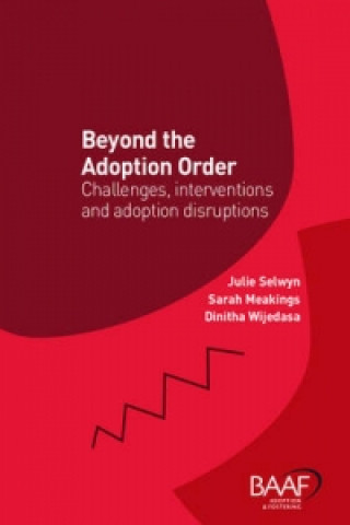 Beyond the Adoption Order