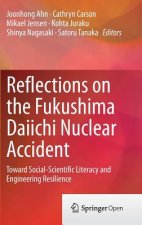 Reflections on the Fukushima Daiichi Nuclear Accident