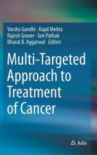 Multi-Targeted Approach to Treatment of Cancer