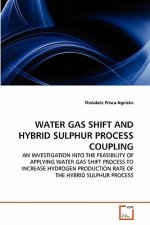 Water Gas Shift and Hybrid Sulphur Process Coupling
