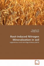 Root-induced Nitrogen Mineralization in soil