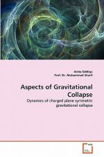 Aspects of Gravitational Collapse