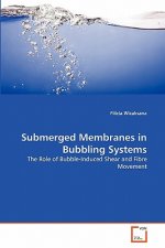 Submerged Membranes in Bubbling Systems