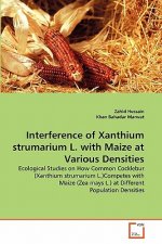 Interference of Xanthium strumarium L. with Maize at Various Densities