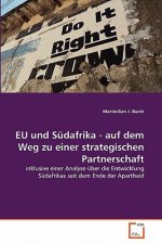 EU und Sudafrika - auf dem Weg zu einer strategischen Partnerschaft