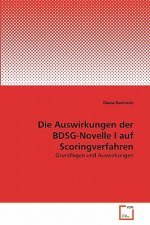 Auswirkungen der BDSG-Novelle I auf Scoringverfahren