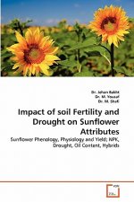 Impact of soil Fertility and Drought on Sunflower Attributes