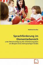 Sprachfoerderung im Elementarbereich