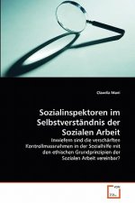 Sozialinspektoren im Selbstverstandnis der Sozialen Arbeit
