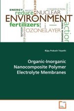 Organic-Inorganic Nanocomposite Polymer Electrolyte Membranes