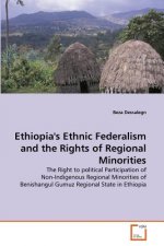 Ethiopia's Ethnic Federalism and the Rights of Regional Minorities