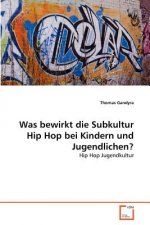 Was bewirkt die Subkultur Hip Hop bei Kindern und Jugendlichen?