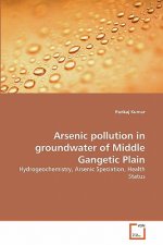 Arsenic pollution in groundwater of Middle Gangetic Plain