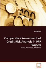 Comparative Assessment of Credit Risk Analysis in PPP Projects