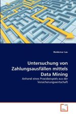 Untersuchung von Zahlungsausfallen mittels Data Mining