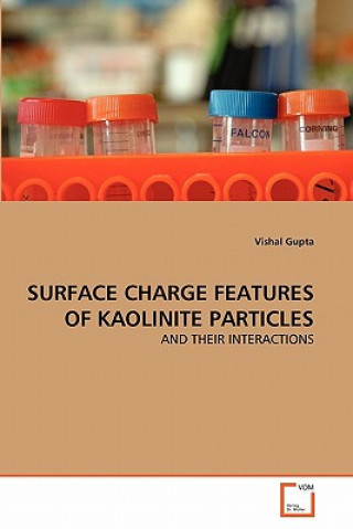 Surface Charge Features of Kaolinite Particles