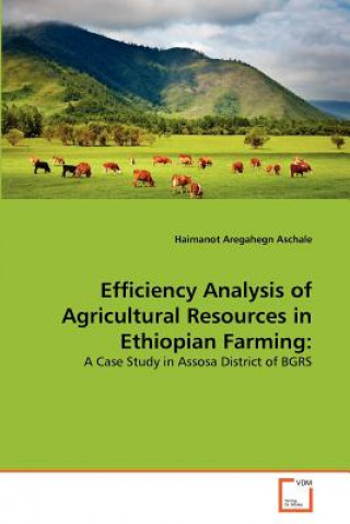 Efficiency Analysis of Agricultural Resources in Ethiopian Farming