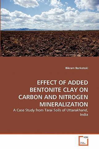 Effect of Added Bentonite Clay on Carbon and Nitrogen Mineralization