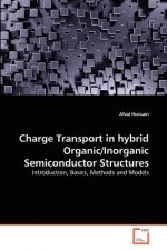 Charge Transport in hybrid Organic/Inorganic Semiconductor Structures