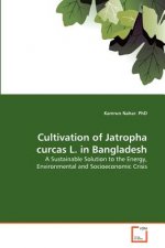 Cultivation of Jatropha curcas L. in Bangladesh