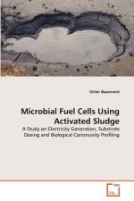 Microbial Fuel Cells Using Activated Sludge