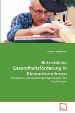 Betriebliche Gesundheitsfoerderung in Kleinunternehmen