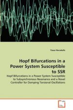 Hopf Bifurcations in a Power System Susceptible to SSR