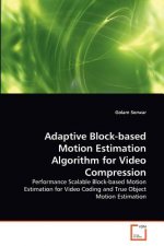 Adaptive Block-based Motion Estimation Algorithm for Video Compression