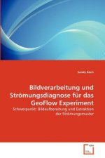 Bildverarbeitung und Stroemungsdiagnose fur das GeoFlow Experiment