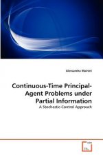 Continuous-Time Principal-Agent Problems under Partial Information