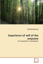 Experience of self of the amputee