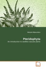 Pteridophyta