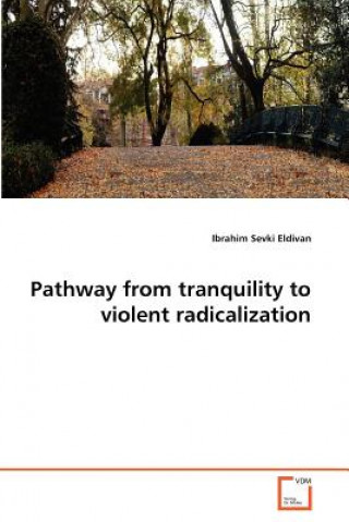 Pathway from tranquility to violent radicalization