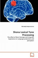 Shona Lexical Tone Processing
