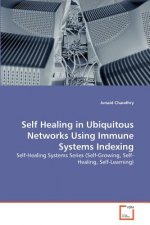 Self Healing in Ubiquitous Networks Using Immune Systems Indexing